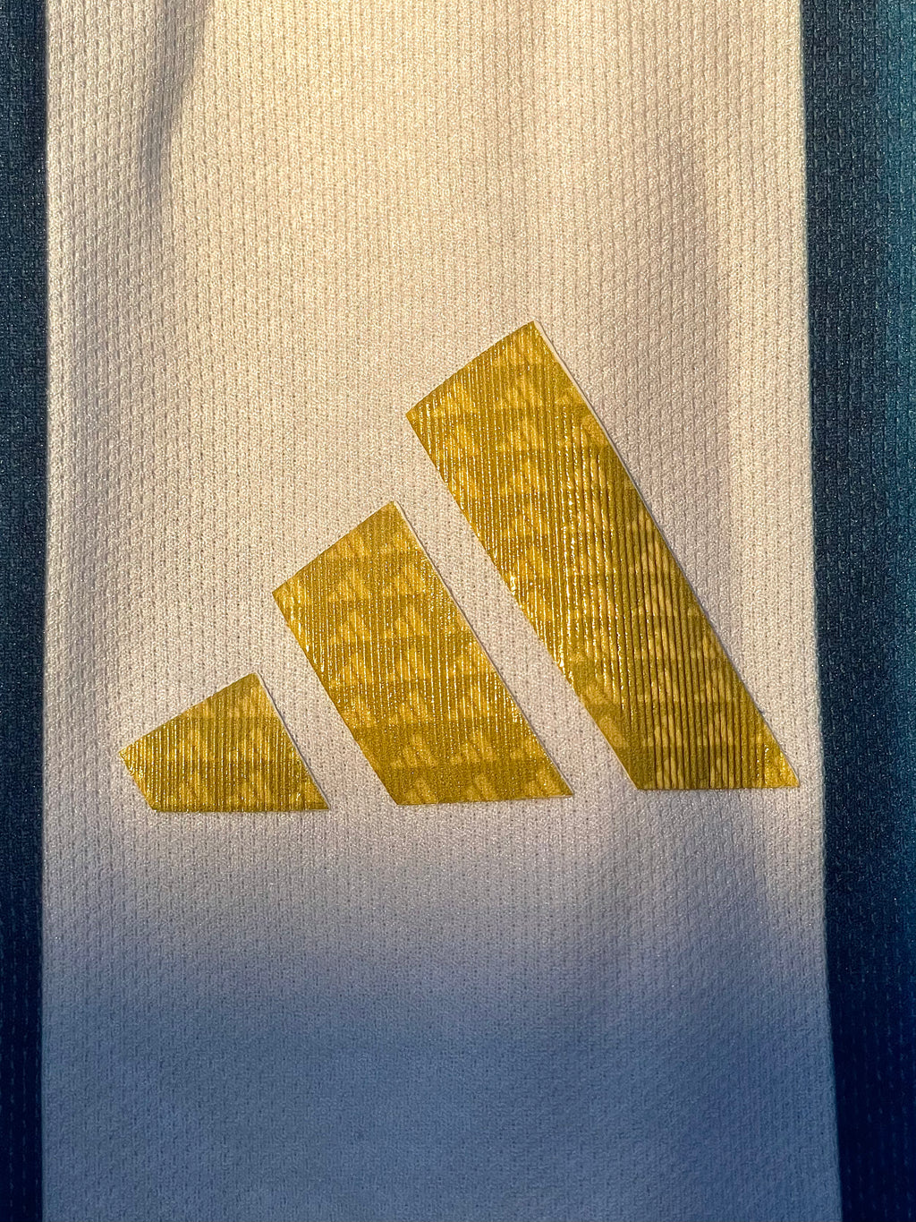 Camiseta Argentina Titular Mundial 2026.