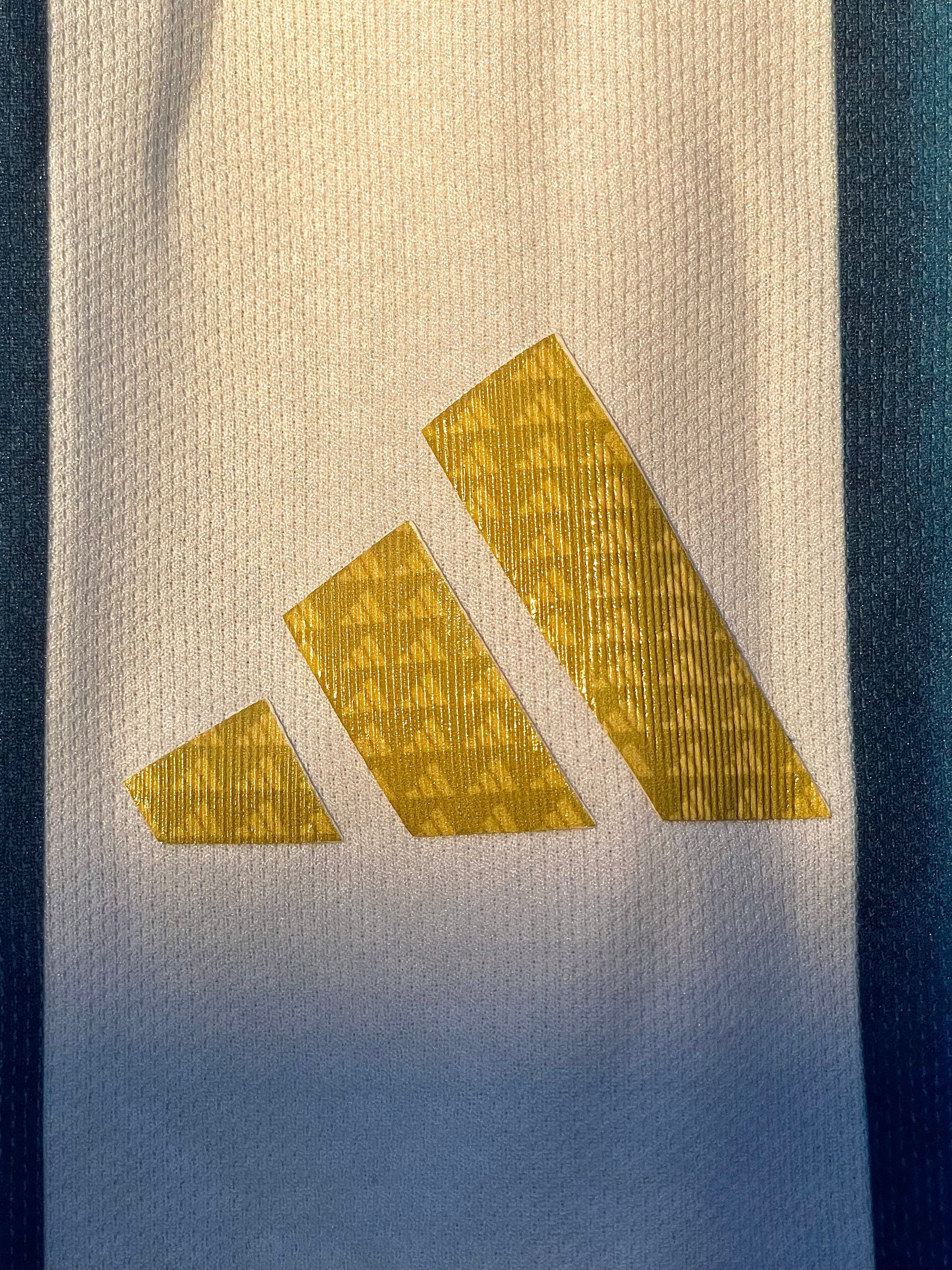 Camiseta Argentina Titular Mundial 2026.